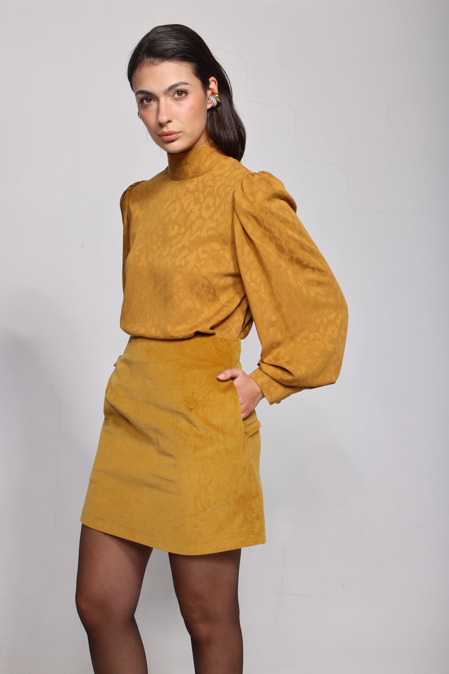 The Aude in Mustard