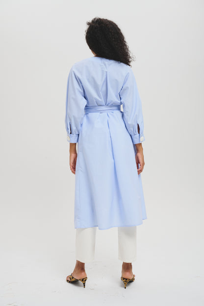 The Trinny dress in blue