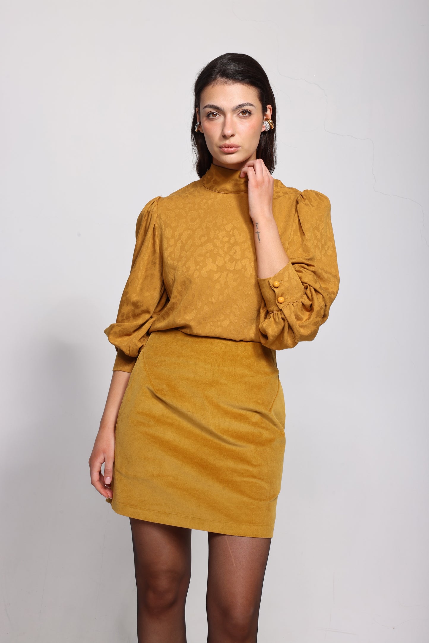 The Aude in Mustard