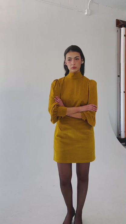 The Aude in Mustard